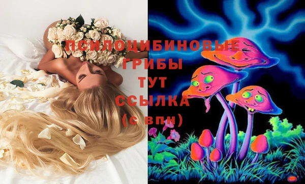 СК Зеленокумск