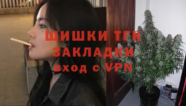 СК Зеленокумск